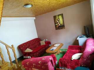 Апартаменты Apartments Bozovic Жабляк Апартаменты-20