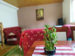 Апартаменты Apartments Bozovic Жабляк Апартаменты-25