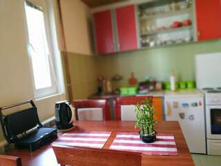 Апартаменты Apartments Bozovic Жабляк Апартаменты-30