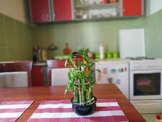 Апартаменты Apartments Bozovic Жабляк Апартаменты-31