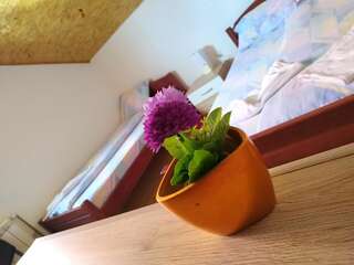 Апартаменты Apartments Bozovic Жабляк Апартаменты-33