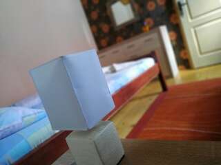 Апартаменты Apartments Bozovic Жабляк Апартаменты-35