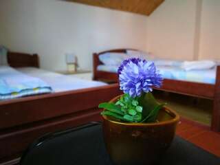 Апартаменты Apartments Bozovic Жабляк Апартаменты-67