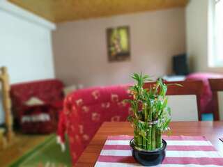 Апартаменты Apartments Bozovic Жабляк Апартаменты-75