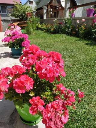 Апартаменты Apartments Bozovic Жабляк Апартаменты-84