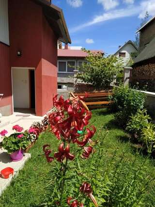 Апартаменты Apartments Bozovic Жабляк Апартаменты-86