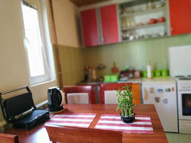 Апартаменты Apartments Bozovic Жабляк-33