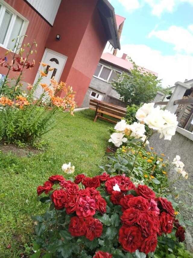 Апартаменты Apartments Bozovic Жабляк-64